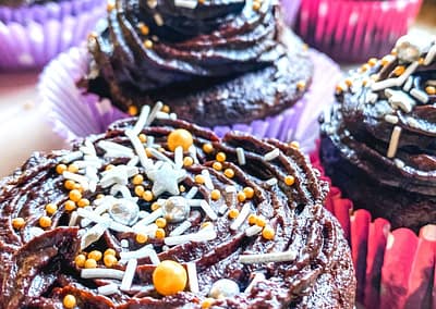 Nutella and Cranberry Paleo Mud Cupcakes with a Sugar Free Chocolate Icing